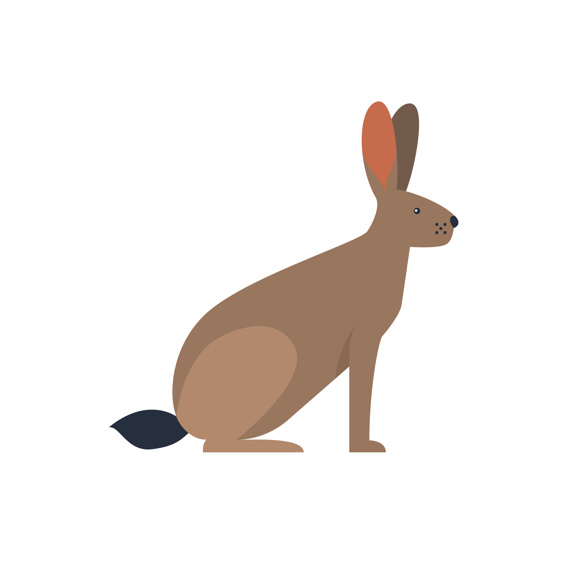 Hare Class